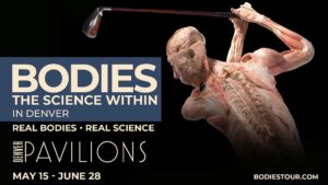 Bodies - The Science Within logo