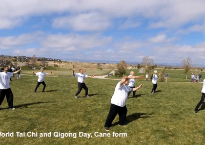 4/26/25 Cane Form Single Whip