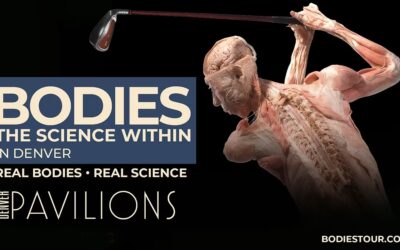 Field Trip: Bodies – The Science Within (Aug 14 2026, Noon to 4pm MST, Denver CO)