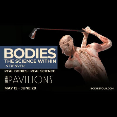 Bodies - The Science Within square