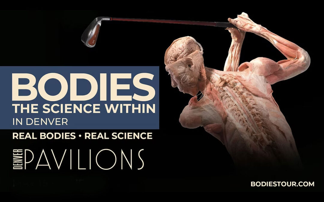 Field Trip: Bodies – The Science Within (Aug 14 2026, Noon to 4pm MST, Denver CO)